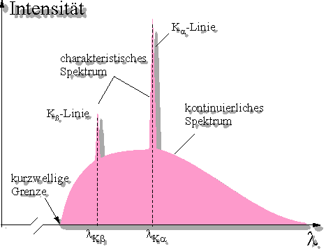 röntgenspektrum